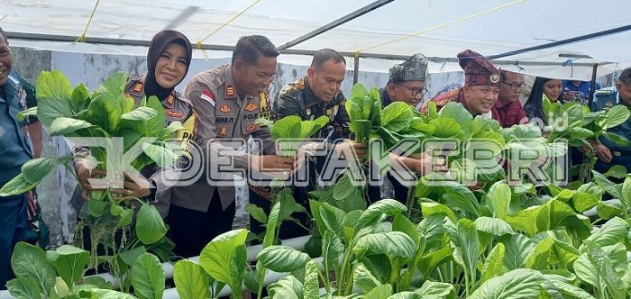 Rutan Tanjungpinang Panen Sayur Hidroponik