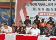 Penyelundupan Benih Lobster Digagalkan Tim Gabungan Patroli DJBC Kepri