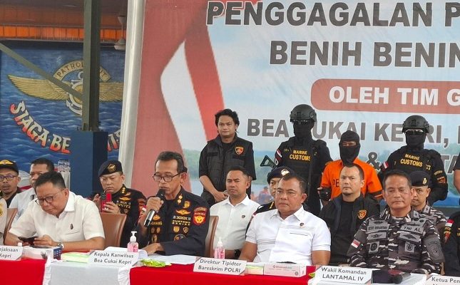 Penyelundupan Benih Lobster Digagalkan Tim Gabungan Patroli DJBC Kepri