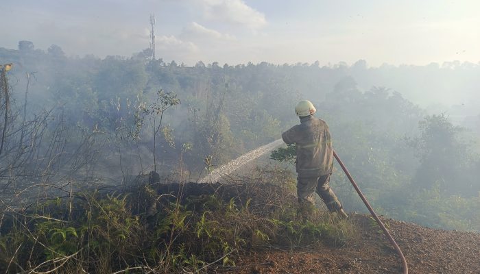 Kebakaran Lahan Kosong di Jalan Abadi Berhasil Dipadamkan