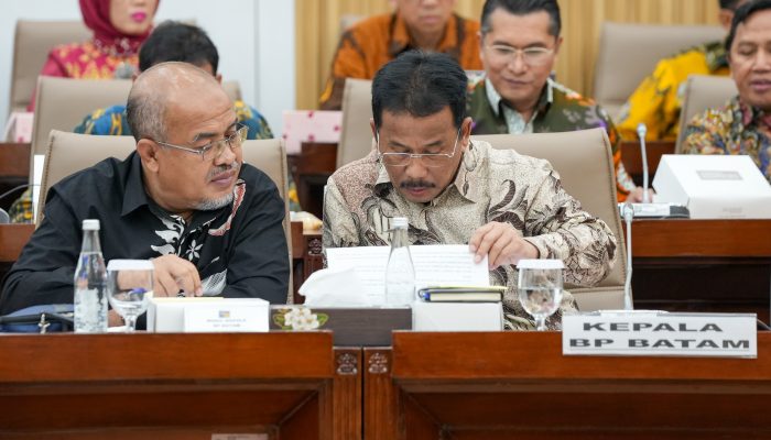 BP Batam Sampaikan Besaran Efisiensi dalam RDP dengan Komisi VI DPR RI