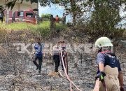Lahan Kosong di Samping DPRD Bintan Terbakar, Polisi Turun Tangan