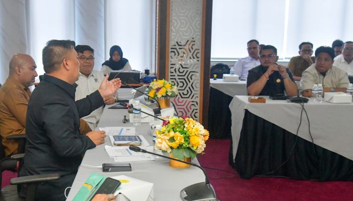Persaingan Ketat dengan Singapura dan Malaysia, FTZ Kepri Perlu Percepatan Regulasi