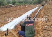 Panen Perdana! GP Ansor Tanjungpinang Berhasil Budidayakan Semangka di Ponpes Tebu Ireng