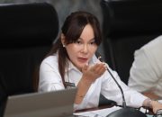 Pembangunan Terencana, Li Claudia Tekankan Pentingnya Tata Ruang di Batam
