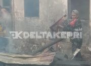 Kebakaran Hebat di Senayang, Tujuh Rumah Ludes, Kerugian Capai Rp1 Miliar