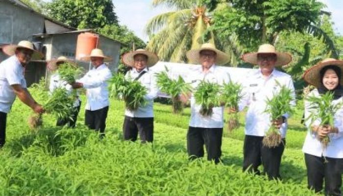 Hari Bhakti Pemasyarakatan ke-61, Lapas Tanjungpinang Tampilkan Hasil Budidaya Sayur