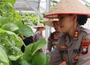 Polres Bintan Panen Sayur Hidroponik Tahap II