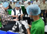 Fary Djemy Francis: BP Batam Ingin Jadi Role Model Investasi di Indonesia