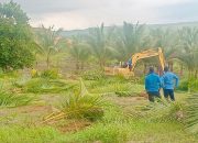 Tanpa Paksaan, BP Batam Lakukan Penertiban Lahan Tanjung Banon Secara Humanis