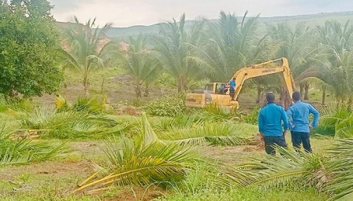 Tanpa Paksaan, BP Batam Lakukan Penertiban Lahan Tanjung Banon Secara Humanis