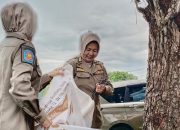 Langgar Perda, Satpol PP Copot Pamflet di Pohon dan Tiang Listrik