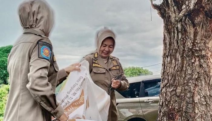 Langgar Perda, Satpol PP Copot Pamflet di Pohon dan Tiang Listrik