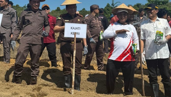 Tak Hanya Tegakkan Hukum, Kejati Kepri Gerakkan Pertanian di Rempang
