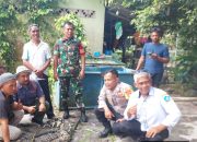 Lindungi Satwa, Buaya di Bintan Kini Dipindahkan ke Habitat yang Aman