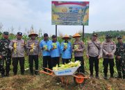 Panen 2 Ton Jagung, Polsek Tanjungpinang Timur dan Petani Wujudkan Asta Cita Presiden