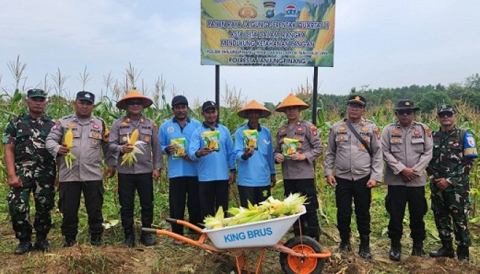 Panen 2 Ton Jagung, Polsek Tanjungpinang Timur dan Petani Wujudkan Asta Cita Presiden