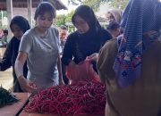 Pasar Murah Idul Adha Digelar 2 Juni di Tanjungpinang, Harga di Bawah Pasar