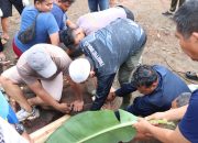 Berbagi di Hari Suci, Polres Bintan Tebar Berkah Kurban untuk Masyarakat