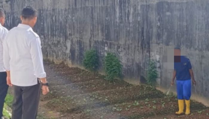 Warga Binaan Bertani di Lapas Tanjungpinang