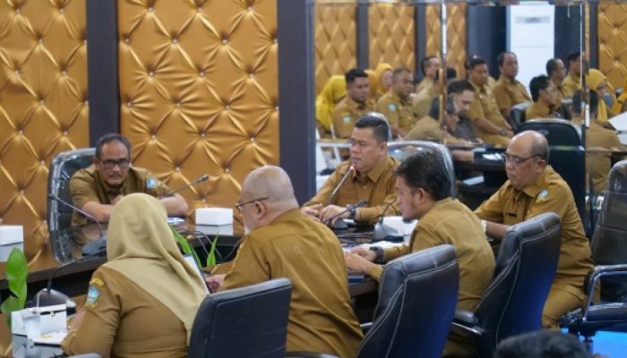 Bintan Menuju Tata Kelola Wilayah Modern Lewat Digitalisasi Batas