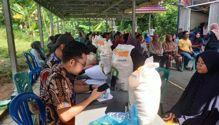Bantuan Pangan Disalurkan ke 519 Warga Melayu Kota Piring, Bulog Targetkan Rampung Juli