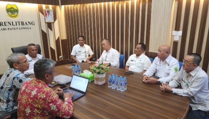 Barenlitbang Lingga Gelar Forum Diskusi Bersama BPKP Kepri, Bahas 3 Program Prioritas