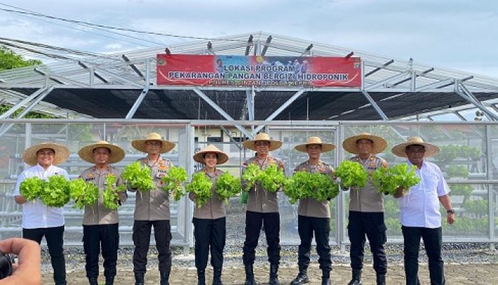 Polres Panen Sayur Hidroponik Tahap III, Wujud Program Pekarangan Pangan Bergizi