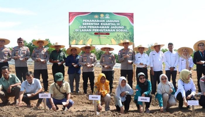 Bersama Petani, Kapolres Bintan Tanam Jagung Serentak