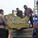 Update Pergeseran Warga Rempang, 125 KK Tempati Rumah Baru di Tanjung Banon