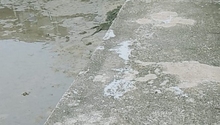 Keluhan Viral! Pelabuhan Rusak di Lingga Ancam Keselamatan Anak Sekolah