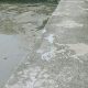 Keluhan Viral! Pelabuhan Rusak di Lingga Ancam Keselamatan Anak Sekolah