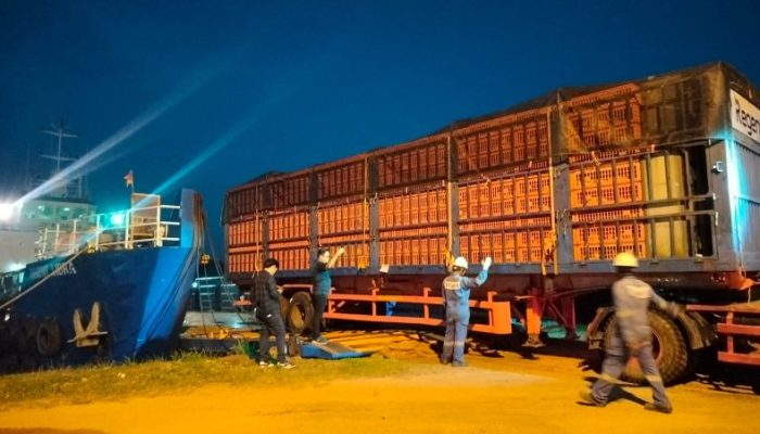 Harga Ekspor Capai Rp25 Ribu/Kg, Japfa Targetkan Produksi Ayam Naik ...