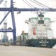 BP Batam Toreh Capaian Gemilang di Semester I 2025, PNBP Naik 16 Persen