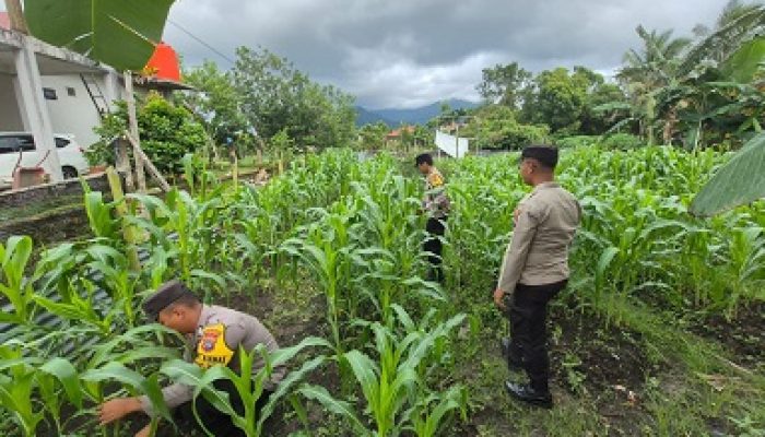 Lewat Program Asta Cita, Polsek Daik Lingga Gerakkan Warga Manfaatkan Lahan Tidur