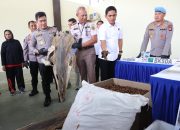 Konferensi Pers Polda Kepri: Dari Telur Penyu Hingga Solar Ilegal Bernilai Miliaran Berhasil Diamankan