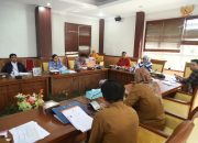 Pansus DPRD Batam Matangkan Ranperda Kota Layak Anak