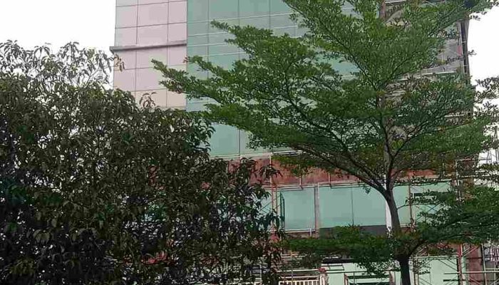 Kepemilikan Hotel Da Vienna Diduga Dialihkan untuk Hindari Tunggakan Pajak