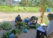 Hasil Panen Warga Binaan Lapas Tanjungpinang Dipasarkan untuk Masyarakat