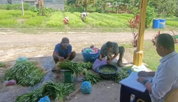 Hasil Panen Warga Binaan Lapas Tanjungpinang Dipasarkan untuk Masyarakat