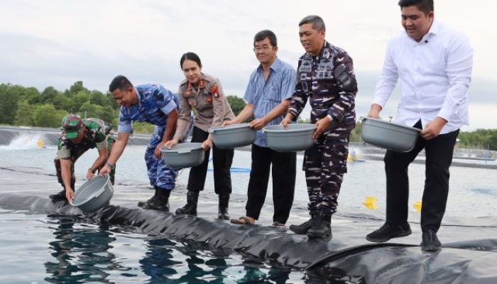 Panen 4,2 Ton, Tambak Udang Vaname di Desa Pengujan Jadi Andalan Ketahanan Pangan