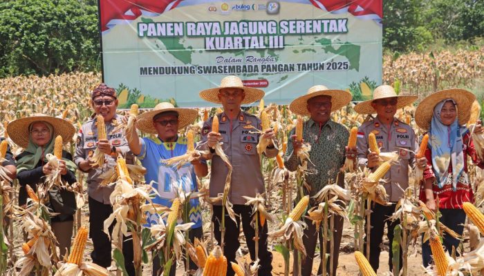 Polres Bintan Sukses Gelar Panen Raya Jagung Serentak Kuartal III
