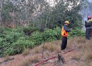 Lahan Terbakar di Pinang Kencana, Damkar Tanjungpinang Kerahkan Armada Penuh