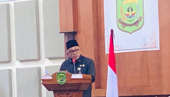 Lis Apresiasi DPRD: Tiga Perda Baru Wujud Komitmen Bangun Tanjungpinang