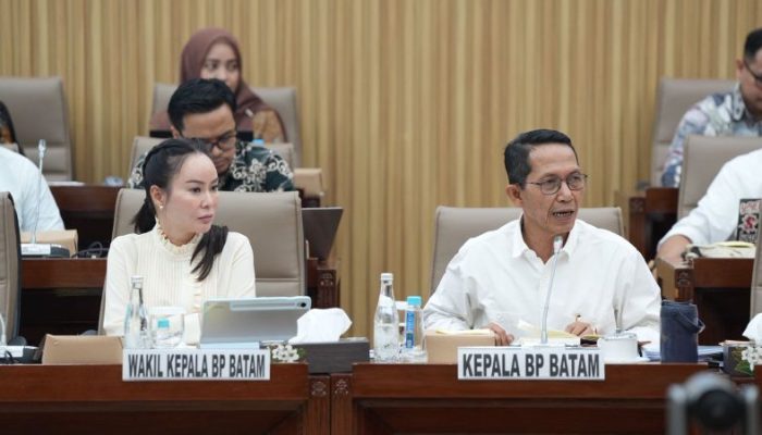 RDP Bersama DPR, BP Batam Paparkan Langkah Strategis Wujudkan KPBPB Tangguh