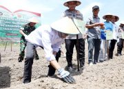 Amsakar: Dari Batam, Kita Wujudkan Swasembada Pangan untuk Indonesia