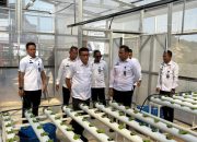 Staf Khusus Menteri Imigrasi dan Pemasyarakatan Puji Inovasi Green House Rutan Batam