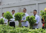 Warga Binaan Lapas Batam Sukses Panen 170 Kg Sayur Bayam
