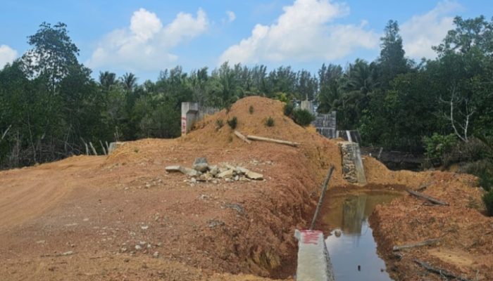 Jembatan Marok Kecil Simbol Harapan Baru Generasi Muda Desa