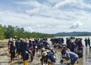 Tanam 5.000 Bibit Mangrove, Medco E&P Natuna Wujudkan Komitmen Lingkungan di Anambas